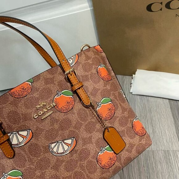 COACH Teri  Bag, Size 25cm - Picture 8 of 9